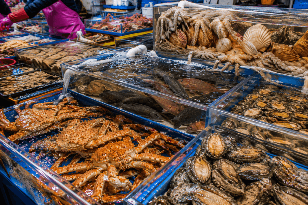 Jagalchi Market waterfront in Busan with fishing boats, harbor views, seagulls, and city skyline