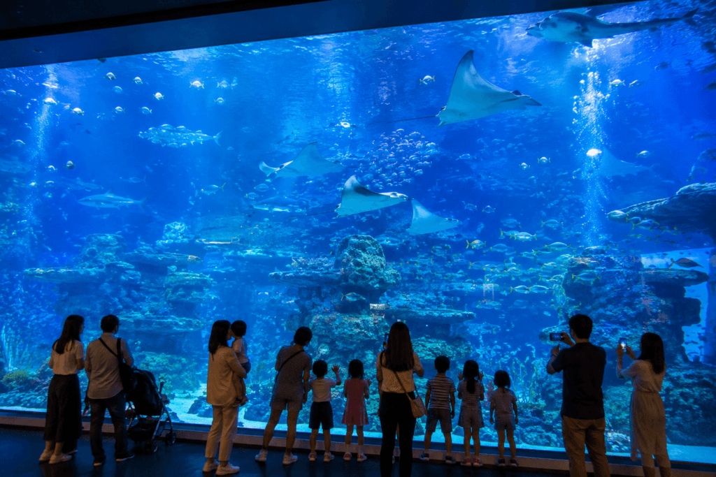 Large tank at Lotte World Aquarium