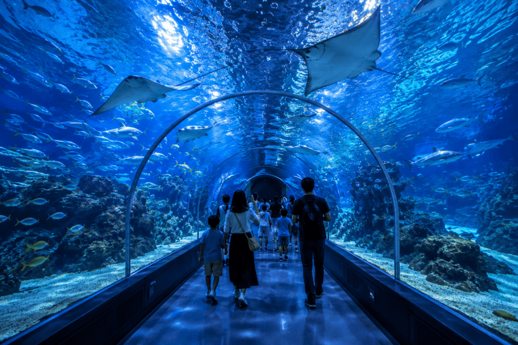 Aquarium tunnel at Lotte World Aquarium