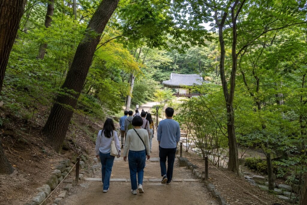 Visitors walking along a wooded path inside Changdeokgung Secret Garden