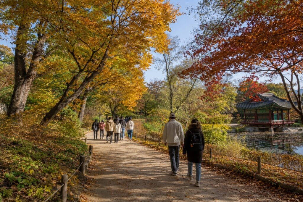 Visitors walking through autumn foliage in Changdeokgung Secret Garden