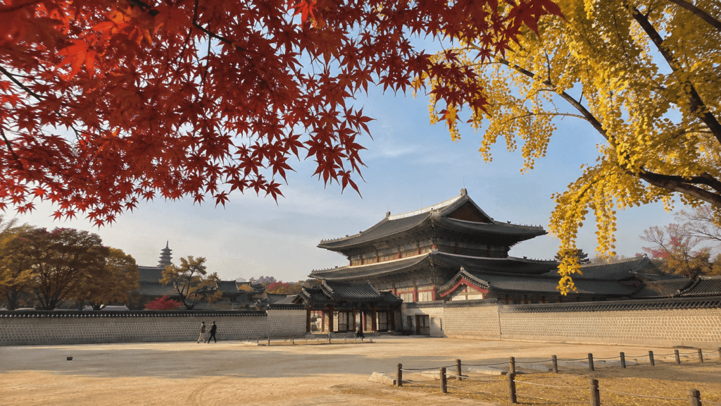 Traditional Korean palace surrounded by red maple and yellow ginkgo leaves in autumn