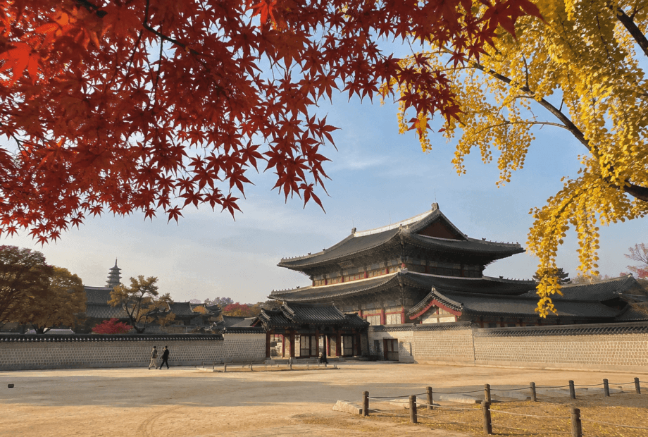 Traditional Korean palace surrounded by red maple and yellow ginkgo leaves in autumn