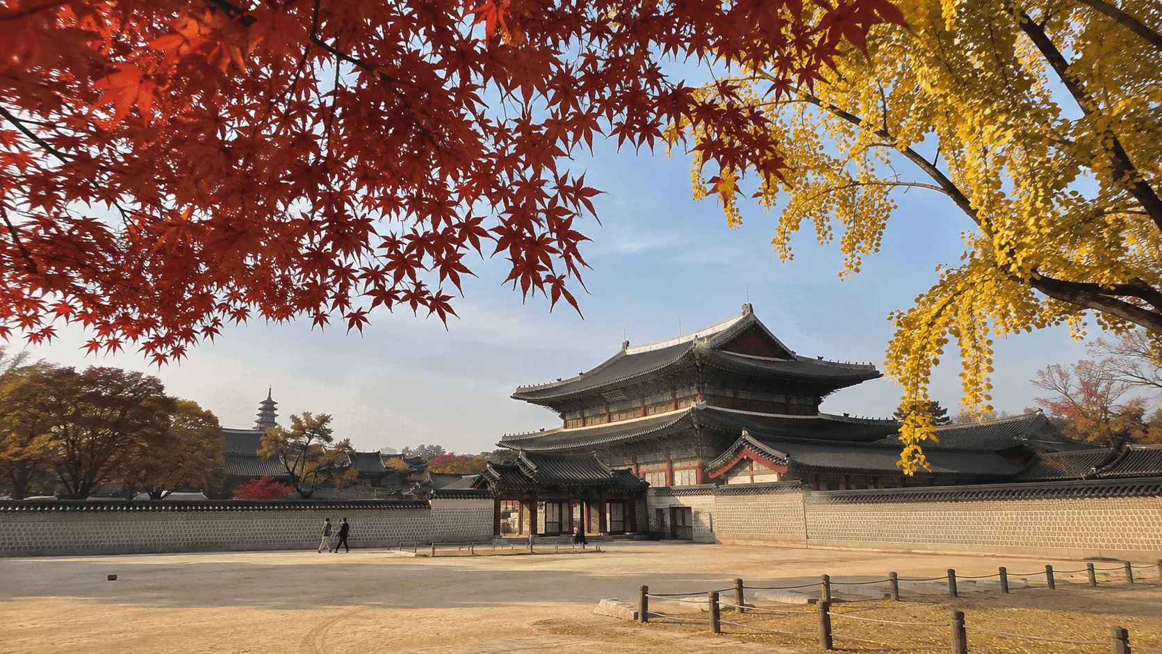 Traditional Korean palace surrounded by red maple and yellow ginkgo leaves in autumn