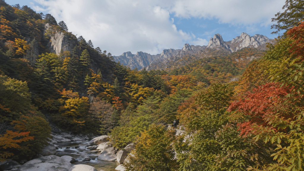 Seoraksan mountain valley with colorful autumn foliage and rocky peaks