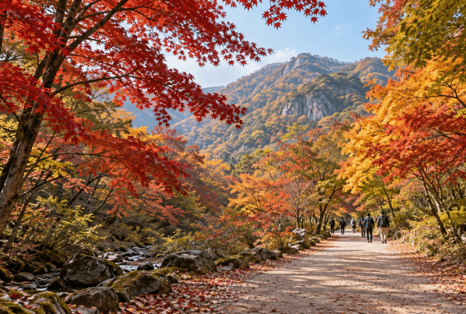 Walkers on a broad forest path beneath red, amber and green autumn maple trees