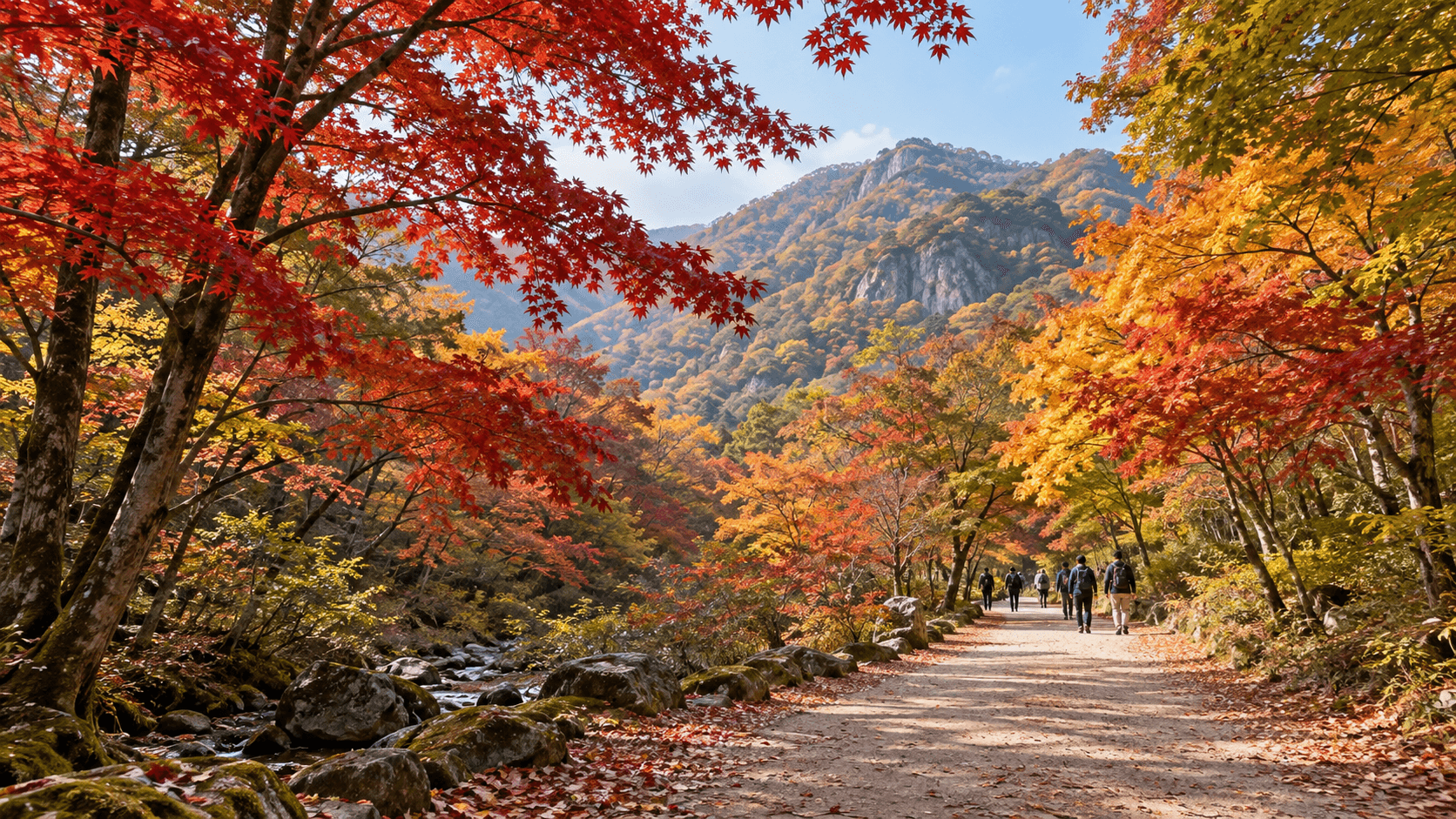 Walkers on a broad forest path beneath red, amber and green autumn maple trees