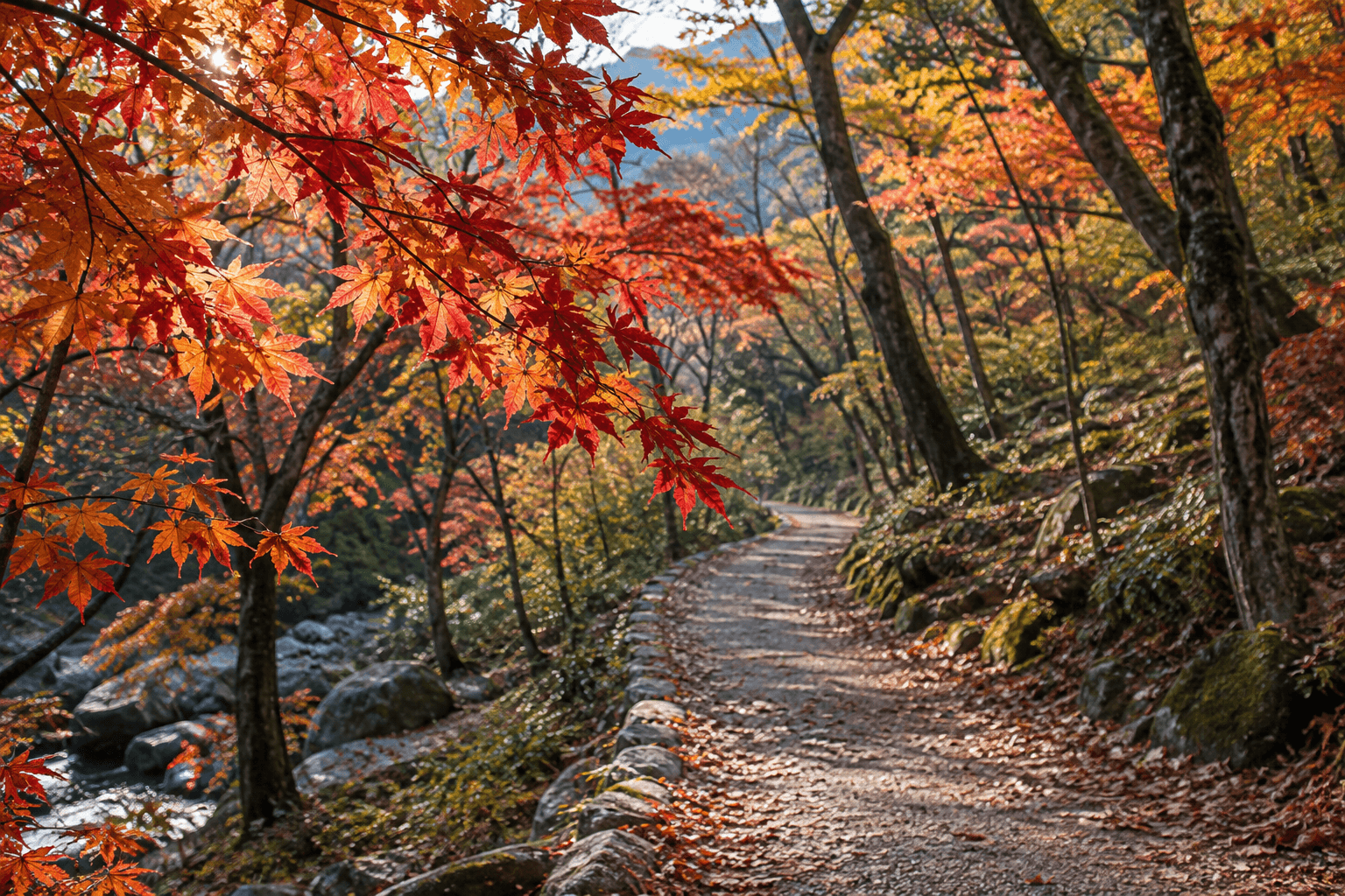 Small red and amber maple leaves beside a forest walking path